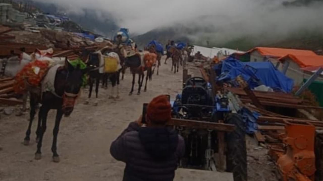 Uttarakhand Char Dham yatra 2025: Over 8,700 registered horses & mules, 4,300 operators aiding pilgrim travel on Kedarnath and Yamunotri routes