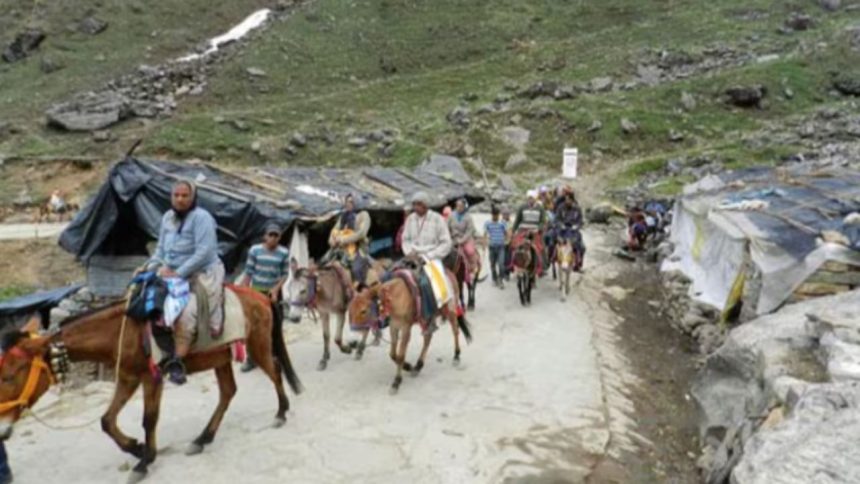 Equine health crisis in Kedarnath: 14 horses and mules die due to diarrhea and acute colic, Uttarakhand govt tightens regulations 1 Equine health crisis in Kedarnath: 14 horses and mules die due to diarrhea and acute colic, Uttarakhand govt tightens regulations