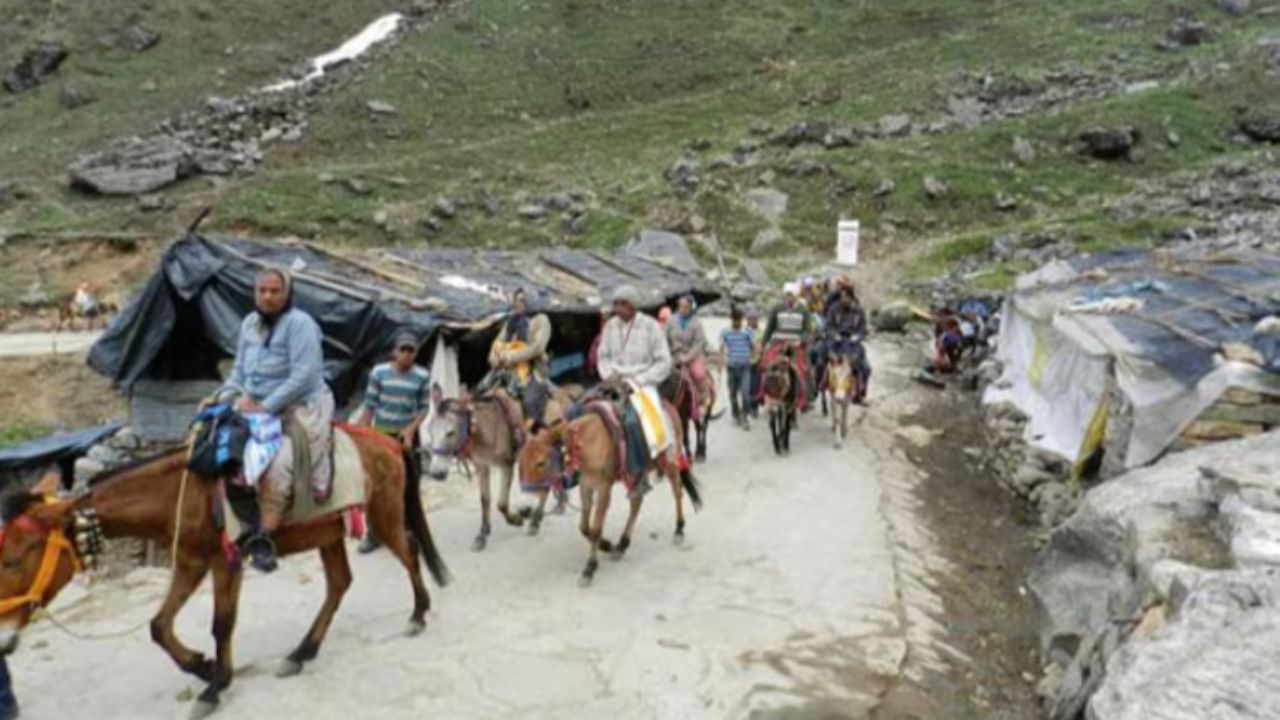 Equine health crisis in Kedarnath: 14 horses and mules die due to diarrhea and acute colic, Uttarakhand govt tightens regulations