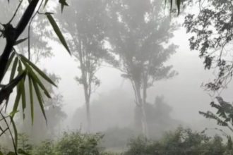 Uttarakhand weather: Morning rain in Dehradun brings temporary relief; strong winds and more showers expected