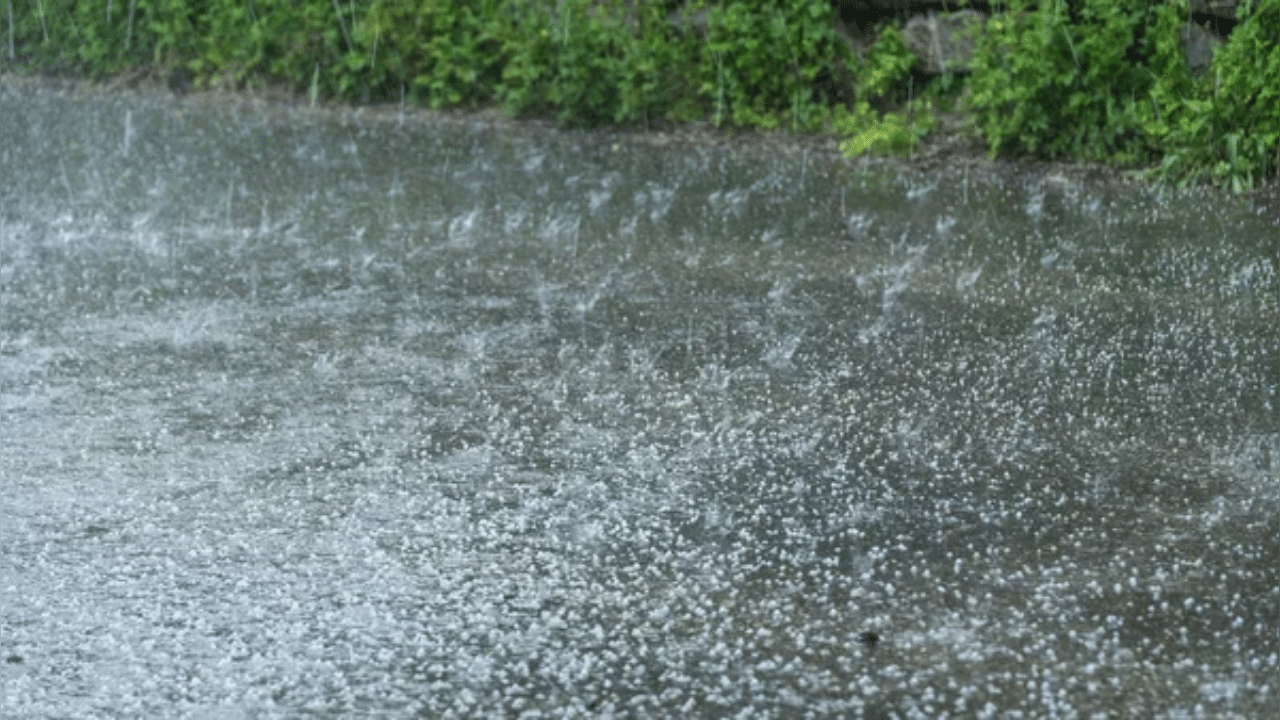 West Bengal weather forecast: State may experience heavy rainfall with thunderstorm till May 22