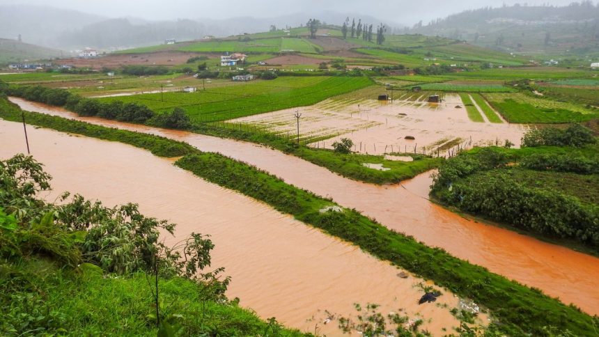 India likely to receive above-normal rainfall in June: IMD