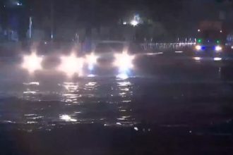 Heavy rain, thunderstorms batter Delhi-NCR; trees uprooted, roads waterlogged, flights hit
