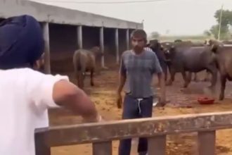 Uttarakhand man rescued after 15 years as Bonded Labourer in Punjab; action taken after viral video, FIR filed
