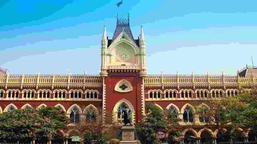 Offensive video case: Calcutta HC denies interim relief to Sharmistha Panoli