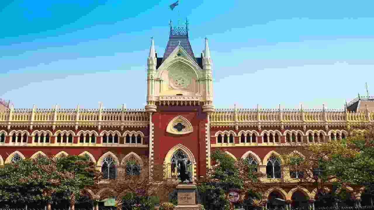 Offensive video case: Calcutta HC denies interim relief to Sharmistha Panoli Offensive video case: Calcutta HC denies interim relief to Sharmistha Panoli