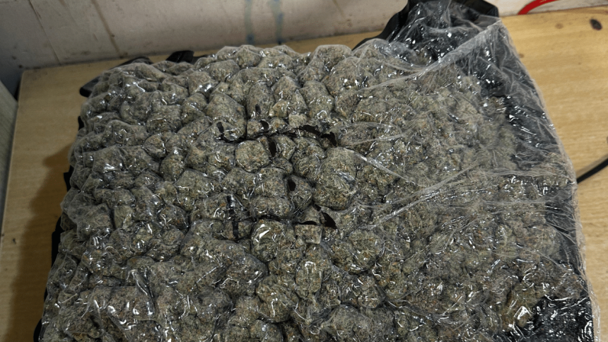 Customs officers seize Rs 24.66 crore worth of drugs in Mumbai, three people arrested