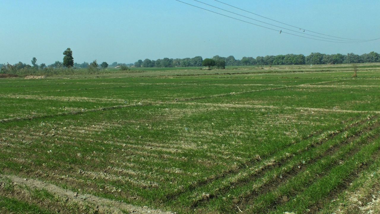 Madhya Pradesh: Upper caste men beat up Dalit family cultivating field, snatch seeds Madhya Pradesh: Upper caste men beat up Dalit family cultivating field, snatch seeds