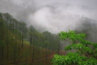 Uttarakhand weather update: IMD issues orange warning for very heavy rain; 11 districts are on high alert for landslides, flash floods