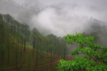 Uttarakhand weather update: IMD issues orange warning for very heavy rain; 11 districts are on high alert for landslides, flash floods