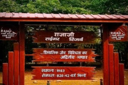 Uttarakhand: Rajaji Tiger Reserve closes for monsoon after record tourist footfall this season, reopens on Nov 15