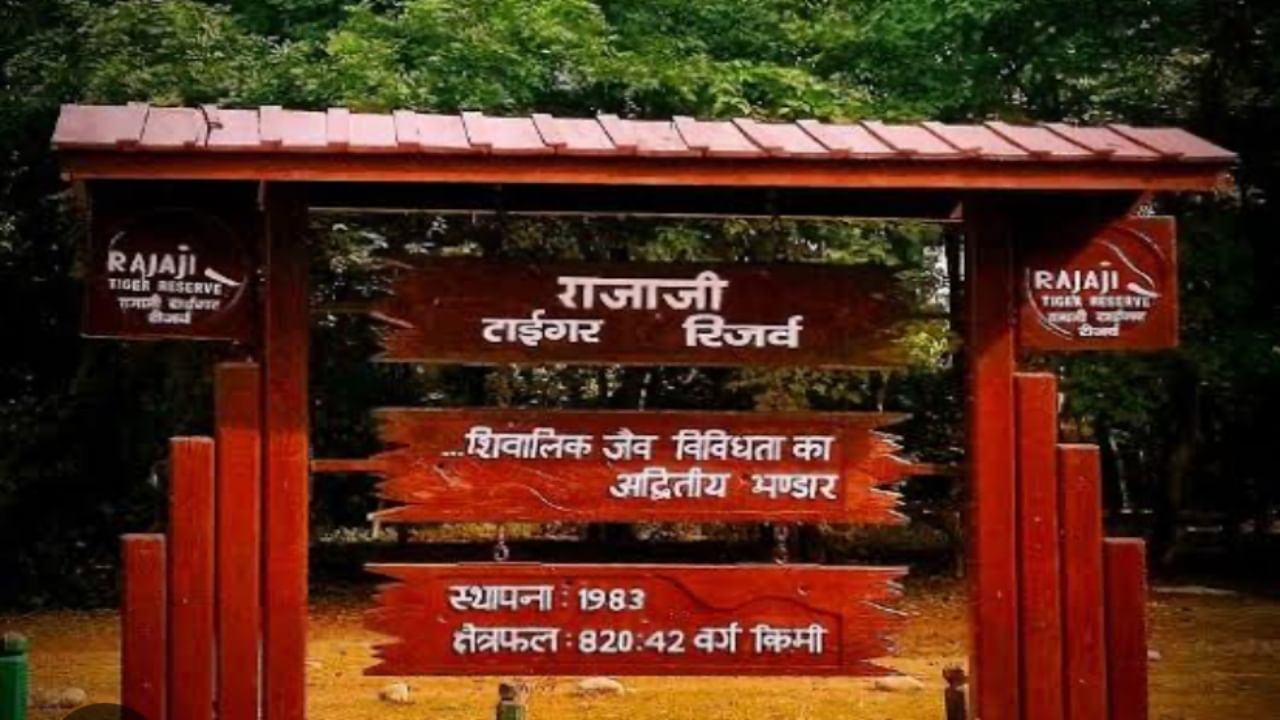 Uttarakhand: Rajaji Tiger Reserve closes for monsoon after record tourist footfall this season, reopens on Nov 15 Uttarakhand: Rajaji Tiger Reserve closes for monsoon after record tourist footfall this season, reopens on Nov 15