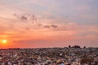 India’s Green Revolution: How India’s renewable energy and climate action progressed in the last 10 years