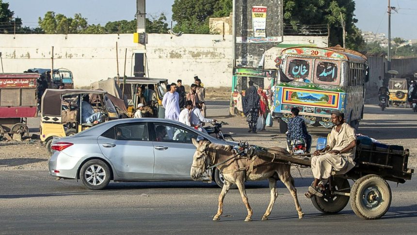 Karachi: Donkey prices skyrocket amidst rising demand from China’s ejiao industry 1 Karachi: Donkey prices skyrocket amidst rising demand from China’s ejiao industry