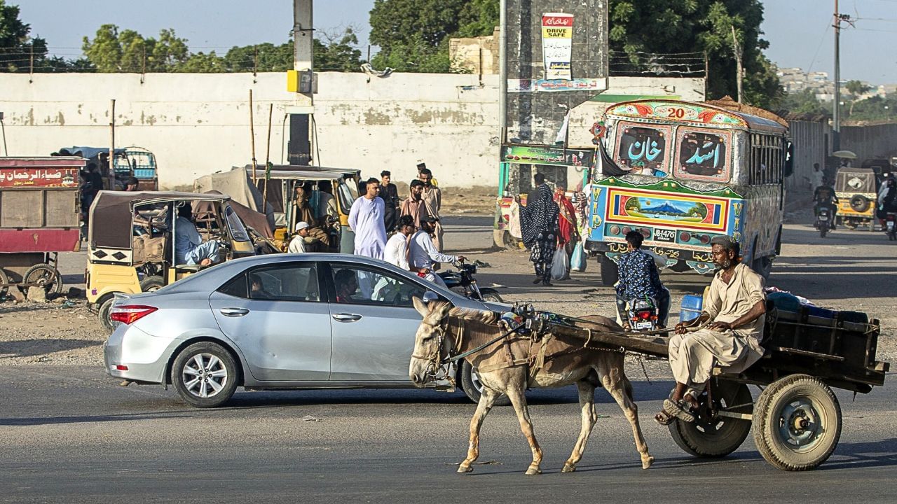 Karachi: Donkey prices skyrocket amidst rising demand from China’s ejiao industry Karachi: Donkey prices skyrocket amidst rising demand from China’s ejiao industry