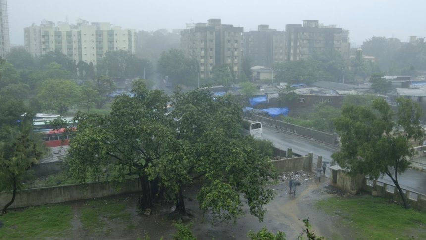 India records unusually cool May with highest rainfall since 1901: IMD 1 India records unusually cool May with highest rainfall since 1901: IMD