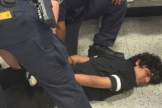 Indian student entered US illegally without valid visa: Govt sources on Newark Airport video