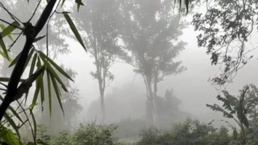 Uttarakhand weather update: Yellow alert for heavy rain in Dehradun, Tehri and Pauri; landslide, lightning risk amid monsoon fury 1 Uttarakhand weather update: Yellow alert for heavy rain in Dehradun, Tehri and Pauri; landslide, lightning risk amid monsoon fury
