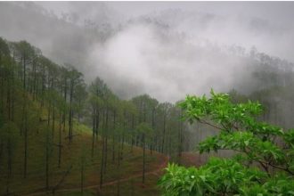 Uttarakhand weather update: Yellow alert for heavy rain in Nainital and Bageshwar on Panchayat Poll Day; weather may disrupt voting