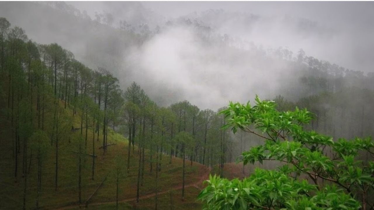 Uttarakhand weather update: Yellow alert for heavy rain in Nainital and Bageshwar on Panchayat Poll Day; weather may disrupt voting