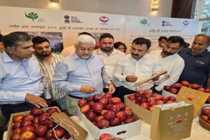 Uttarakhand apples reach Dubai: Over 1.2 metric tonnes exported from Dehradun successfully