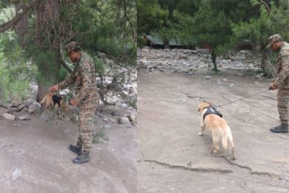 Uttarkashi flash flood: Army canines join rescue operations in Harsil and Dharali