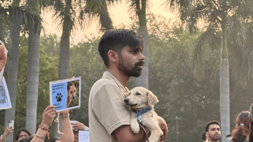 Supreme Court to pronounce verdict on relocation of stray dogs in Delhi-NCR today